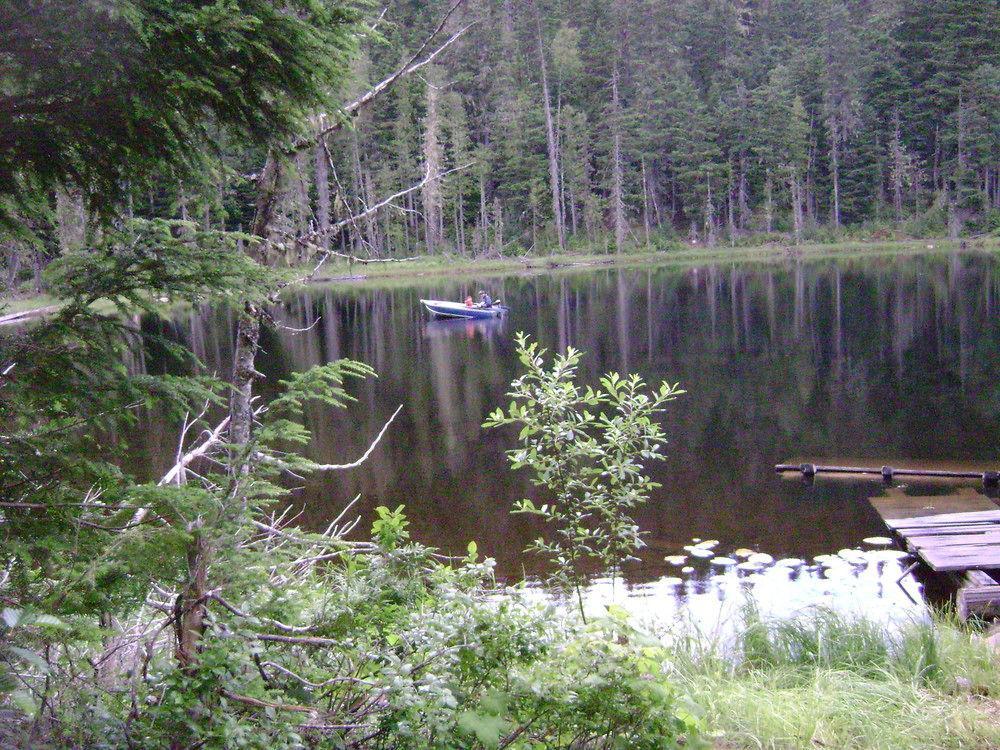 Blue River Cabins & Campgrounds Esterno foto